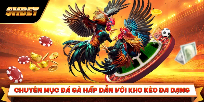 Chuyên mục đá gà hấp dẫn với kho kèo đa dạng Chuyên mục đá gà hấp dẫn với kho kèo đa dạng