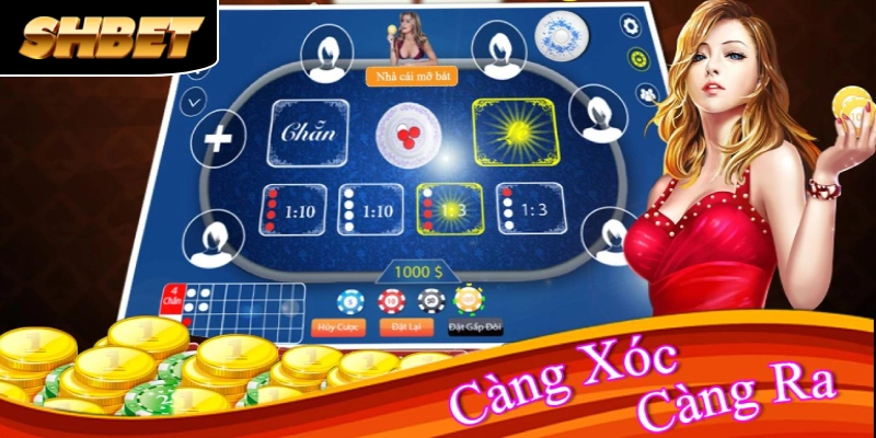 Xóc đĩa SHBET - Trò chơi lắc quân vị cuốn hút game thủ